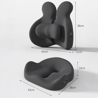 Revaro LumbarSupport™